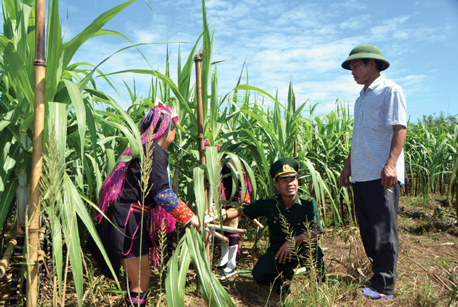 Hệ luỵ khôn lường