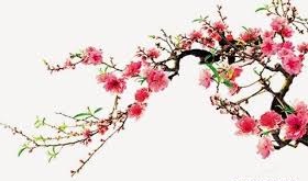 tải xuống (1)